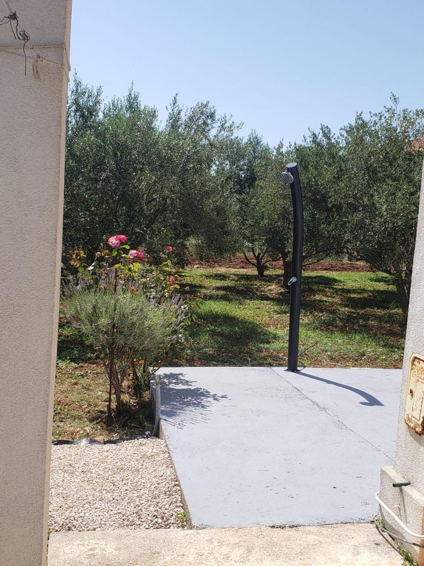 Apartmani Ciklic Dobropoljana Bagian luar foto